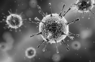 Vzpostavljena sindikalna informacijska točka o izbruhu novega koronavirusa